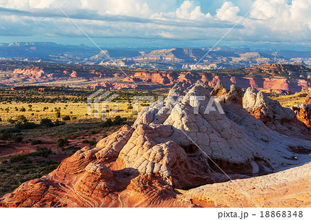 White pocket White pocket 18868348