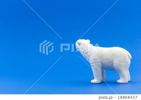 遠くを見つめるシロクマ 18868437