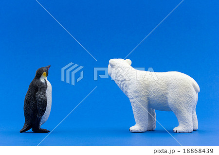 遠くを見つめるエンペラーペンギン（南極）とシロクマ（北極）の写真