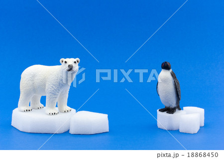 行き場のないホッキョクグマ（北極）とコウテイペンギン（南極）の写真