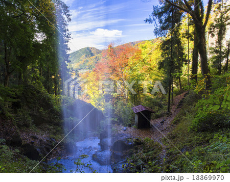 滝の裏から 滝の裏から 18869970