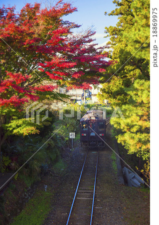 紅葉とわたらせ渓谷鐵道 18869975