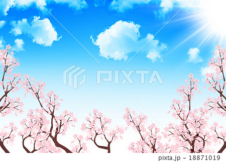 桜 春 空 背景のイラスト素材