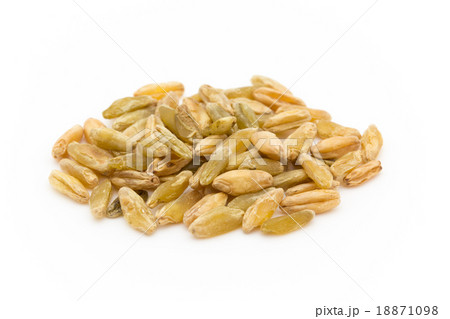 Freekeh:フリーカ(フリーケ) Freekeh:フリーカ(フリーケ) 18871098