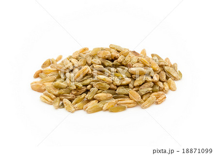 Freekeh:フリーカ(フリーケ) Freekeh:フリーカ(フリーケ) 18871099