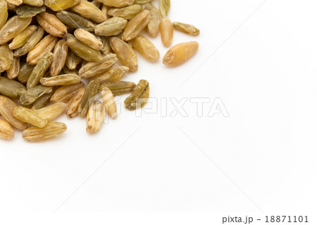 Freekeh：フリーカ（フリーケ） 18871101