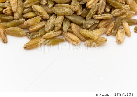 Freekeh:フリーカ(フリーケ) Freekeh:フリーカ(フリーケ) 18871103
