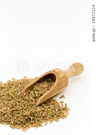 Freekeh:フリーカ(フリーケ) Freekeh:フリーカ(フリーケ) 18871114