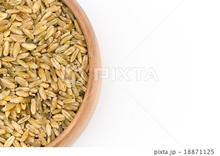 Freekeh：フリーカ（フリーケ） 18871125