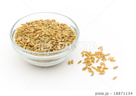 Freekeh:フリーカ(フリーケ) Freekeh:フリーカ(フリーケ) 18871134