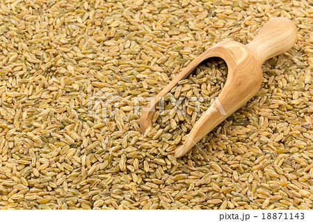 Freekeh:フリーカ(フリーケ) Freekeh:フリーカ(フリーケ) 18871143