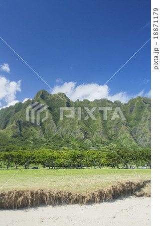 クアロアランチ(コオラウ山脈) 18871179