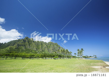 クアロアランチ(コオラウ山脈) 18871181