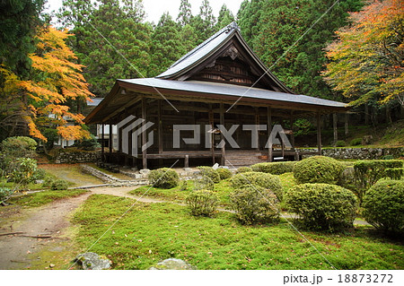 晩秋の来迎院 晩秋の来迎院 18873272
