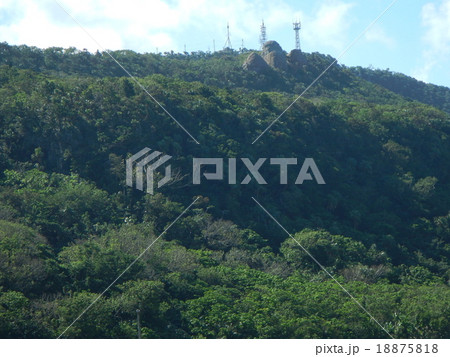 与那国島　ミミシ 18875818