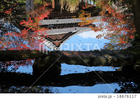 南禅寺天寿庵の紅葉と池 18876117