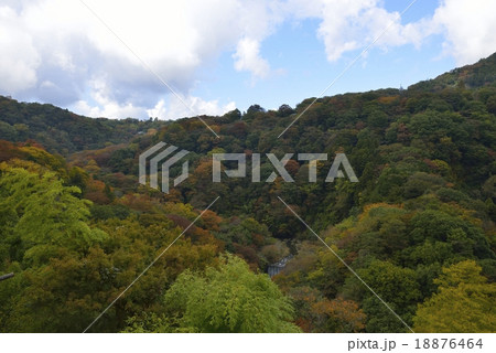 箱根 早川渓谷の紅葉 箱根 早川渓谷の紅葉 18876464
