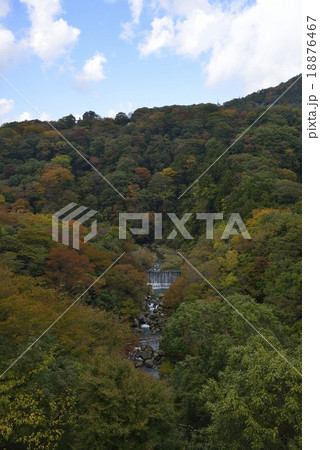 箱根 早川渓谷の紅葉 箱根 早川渓谷の紅葉 18876467
