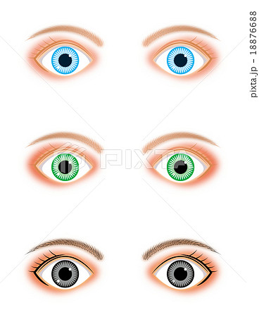外国人の瞳のイラスト素材 18876688 Pixta