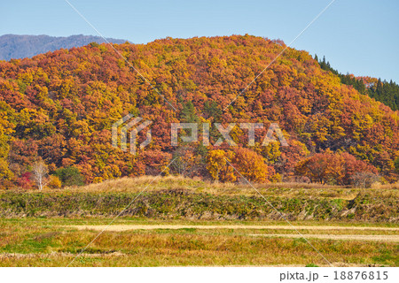秋の南会津、小高い山の紅葉(国道289号線、甲子道路) 秋の南会津、小高い山の紅葉(国道289号線、甲子道路) 18876815