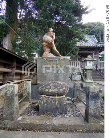 河津八幡神社 18877099
