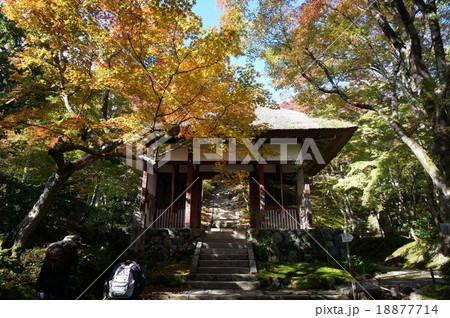 紅葉が色づきかけた京都嵯峨野の「常寂光寺」仁王門 紅葉が色づきかけた京都嵯峨野の「常寂光寺」仁王門 18877714