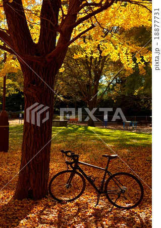 CYCLING TIME (269) 18877731