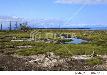 野付半島 野付半島 18878427