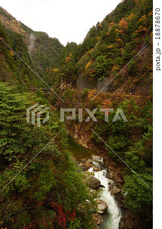 川浦渓谷 18878670