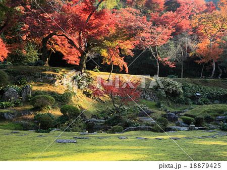 秋の清水寺本坊庭園（福岡県瀬高町） 18879425