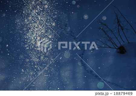 サンピラーとキタキツネの足跡 18879469