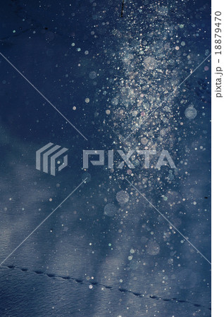 サンピラーとキタキツネの足跡 18879470