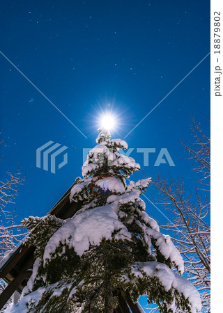 クリスマスツリー 18879802