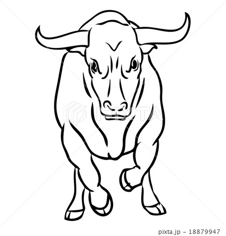 bull on white background 18879947