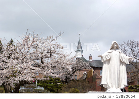 桜のトラピスチヌ修道院 18880054