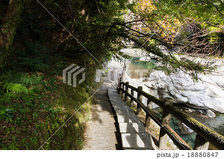 高知県仁淀川町　中津渓谷　遊歩道 18880847