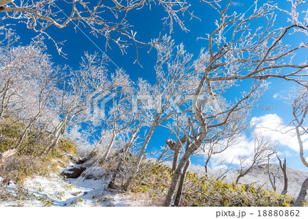 霧氷の登山道 霧氷の登山道 18880862