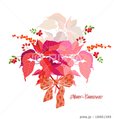 Background  with bouquet of poinsettia 18881389