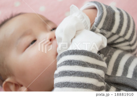 4 months old 4 months old 18881910