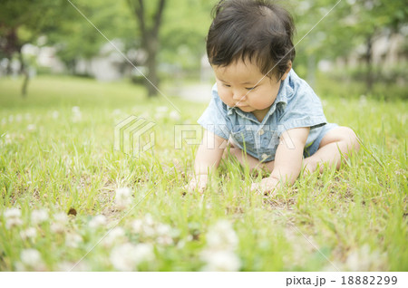 芝生で遊ぶ赤ちゃん 芝生で遊ぶ赤ちゃん 18882299
