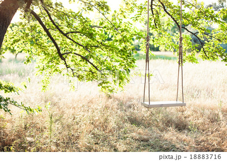 The swing 18883716