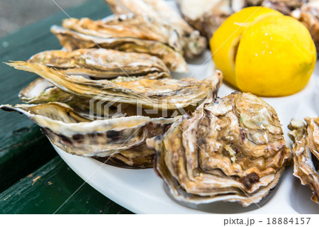 A dozen oysters on a plastic plate A dozen oysters on a plastic plate 18884157