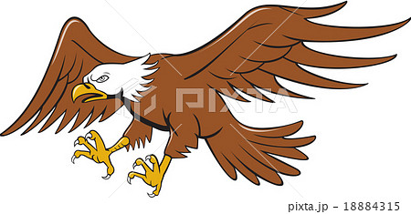 American Bald Eagle Swooping Cartoon 18884315