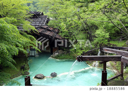 白骨温泉 18885586