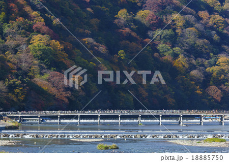 嵯峨嵐山 18885750