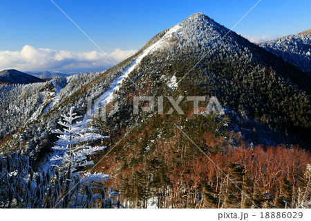 木賊山から新雪の甲武信岳 木賊山から新雪の甲武信岳 18886029