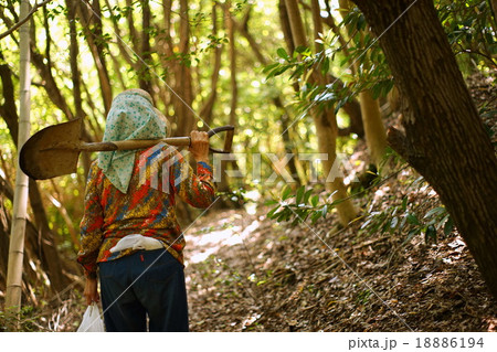 田舎の集落で農作業・畑仕事をする高齢者 - farmworking person 18886194