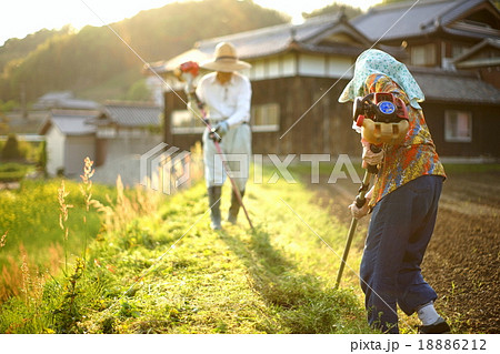 地方の農家で草刈りをする高齢者夫婦 - mowing persons in rural area 18886212
