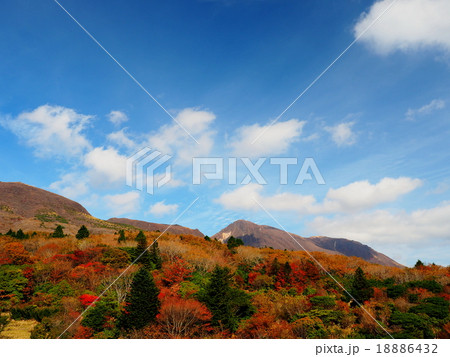 久住高原ロードパーク 紅葉の写真素材