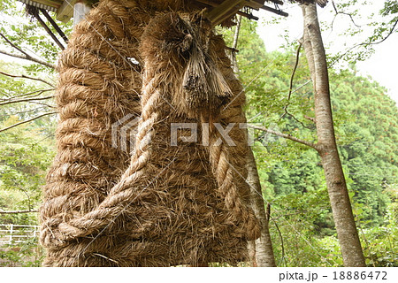 巨大わらじ 18886472